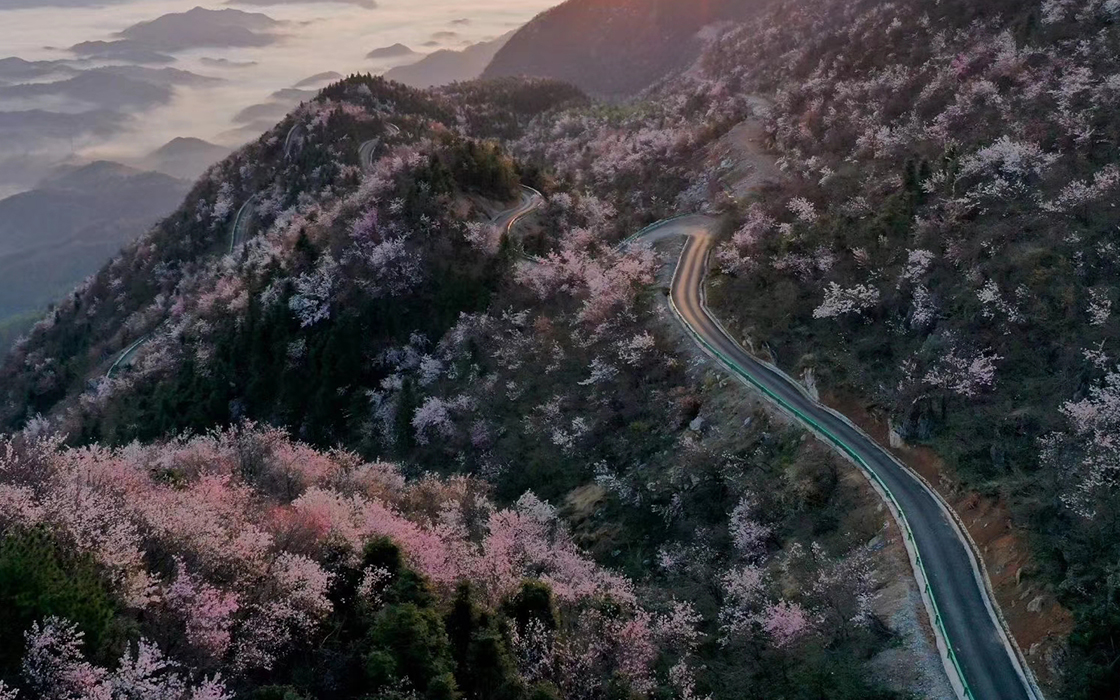 �����ϸ硤(�й�)���ֲ��ٷ���վ