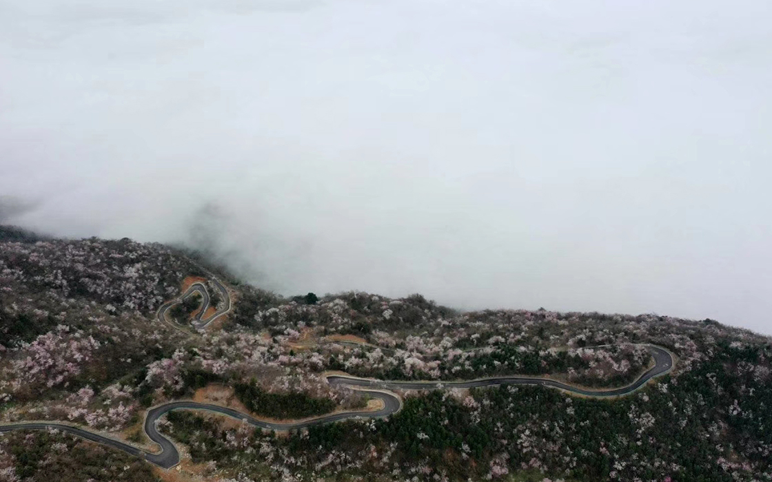 �����ϸ硤(�й�)���ֲ��ٷ���վ