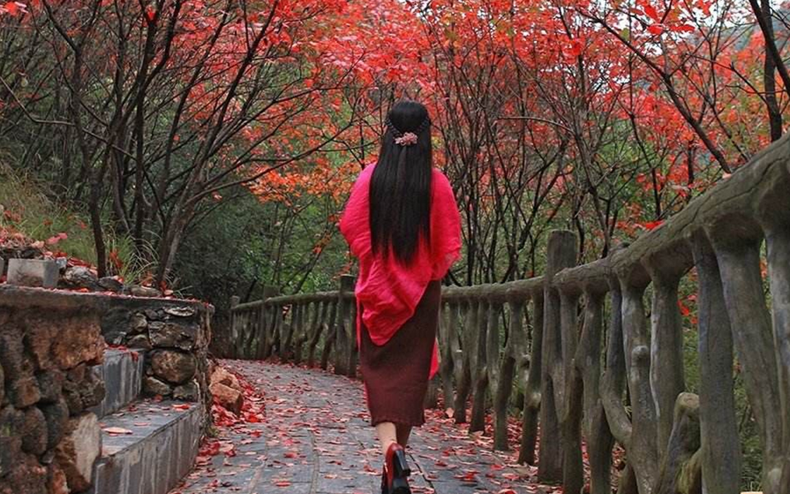 �����ϸ硤(�й�)���ֲ��ٷ���վ