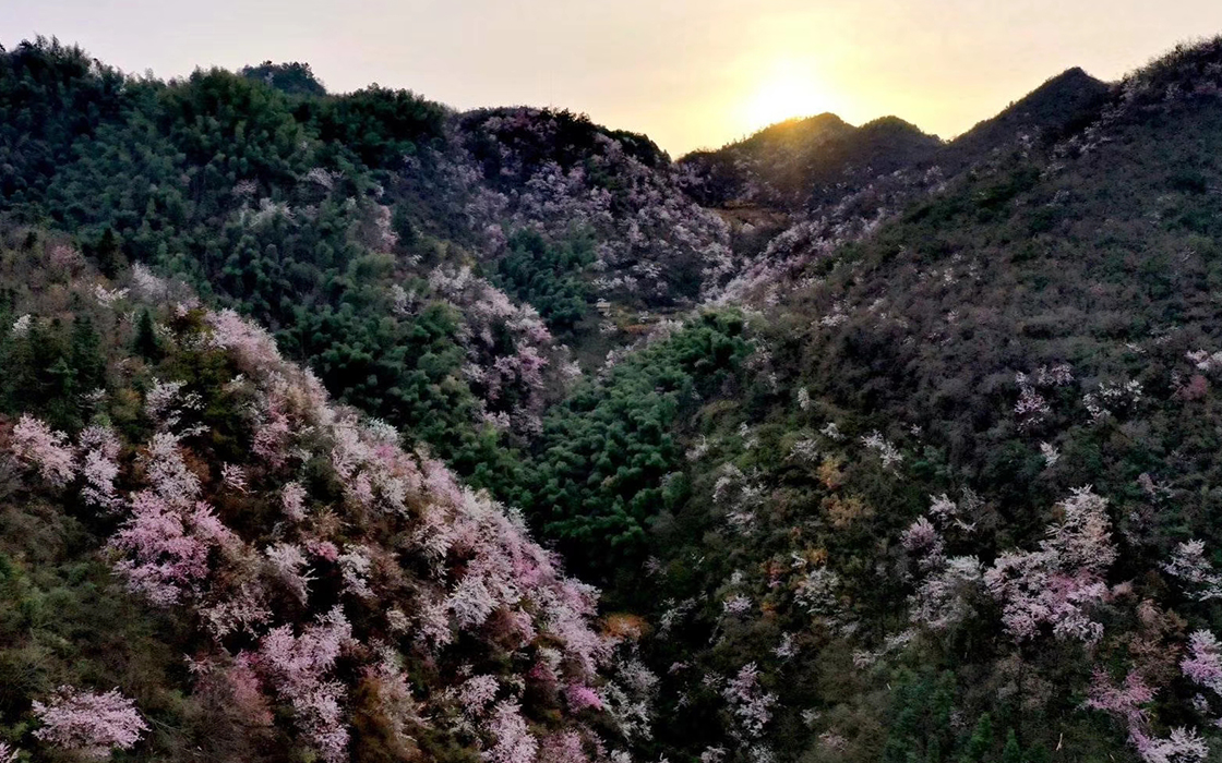 �����ϸ硤(�й�)���ֲ��ٷ���վ