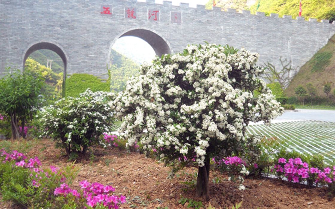 �����ϸ硤(�й�)���ֲ��ٷ���վ