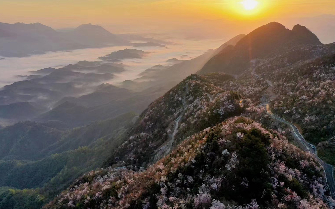 �����ϸ硤(�й�)���ֲ��ٷ���վ