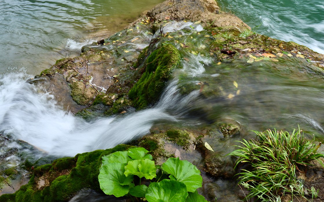 �����ϸ硤(�й�)���ֲ��ٷ���վ