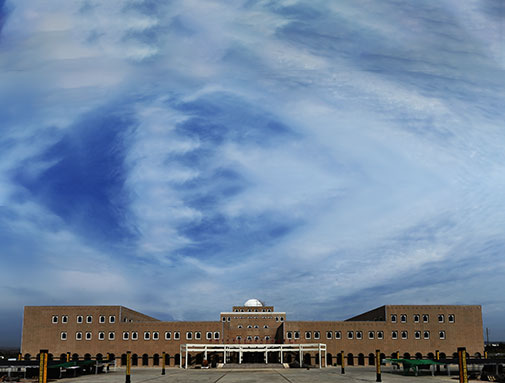 �����ϸ���ֲ�����˿��֮·������ʯ��������