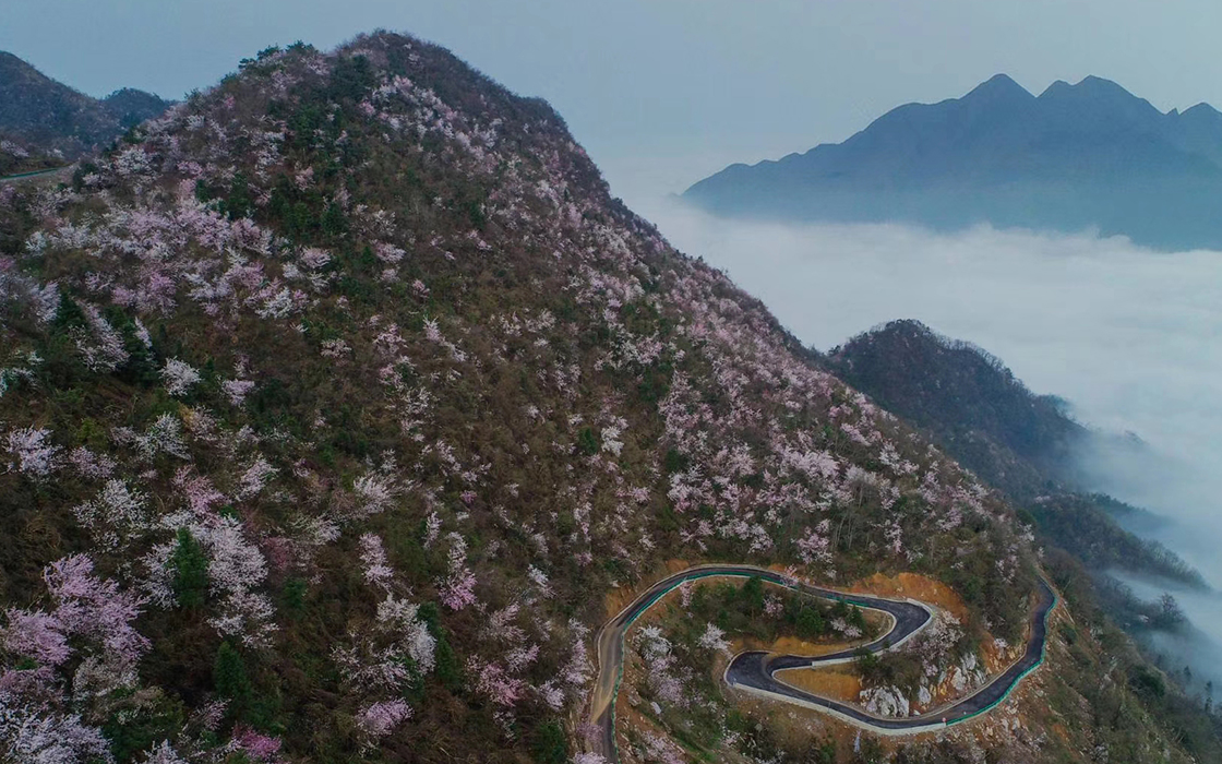 �����ϸ硤(�й�)���ֲ��ٷ���վ