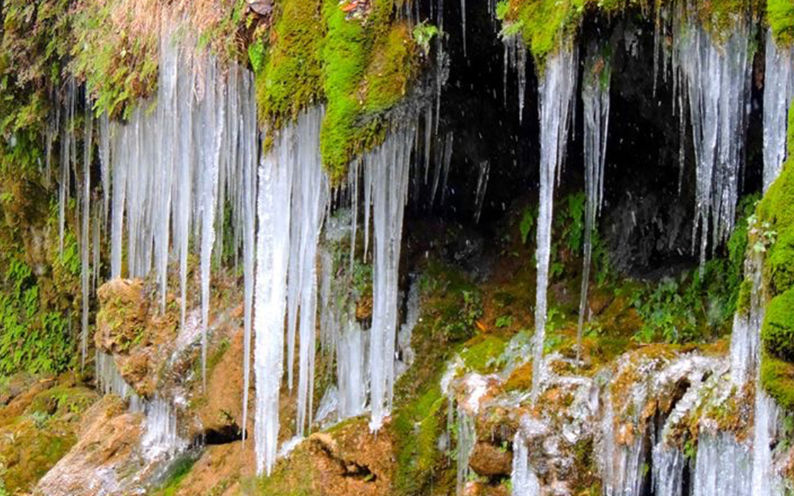 �����ϸ硤(�й�)���ֲ��ٷ���վ