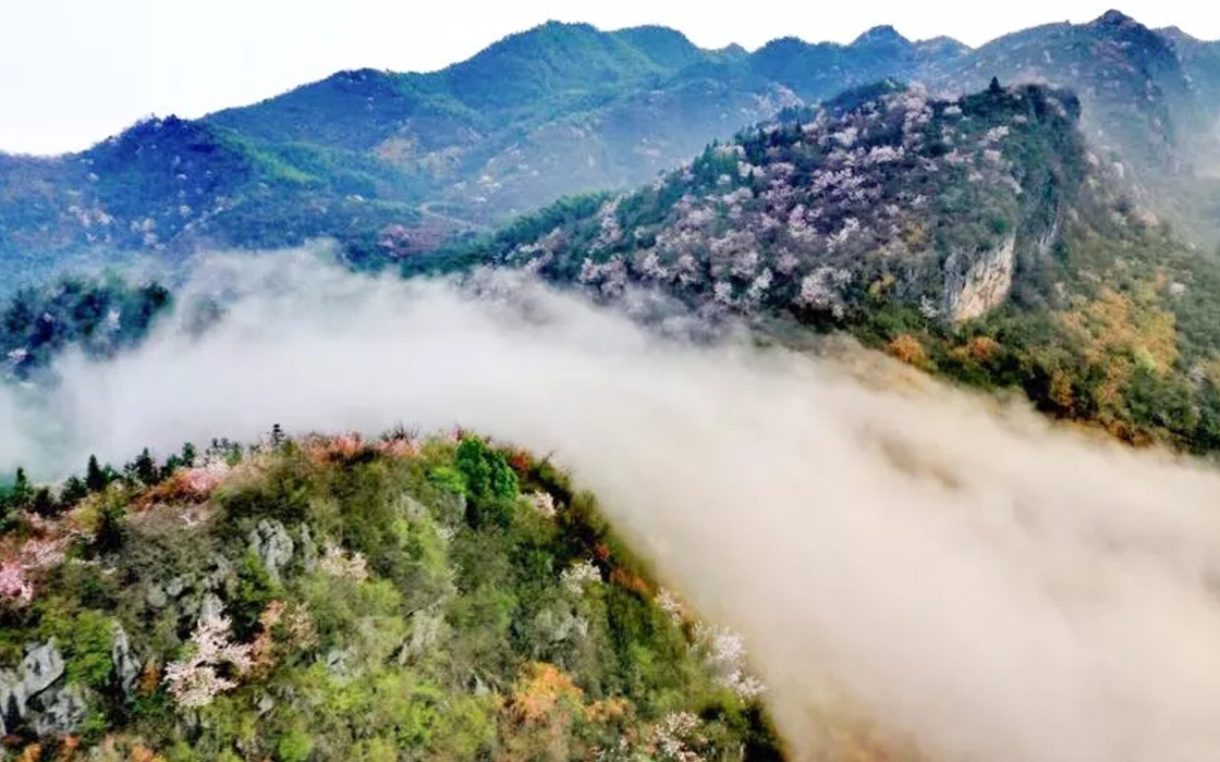 �����ϸ硤(�й�)���ֲ��ٷ���վ