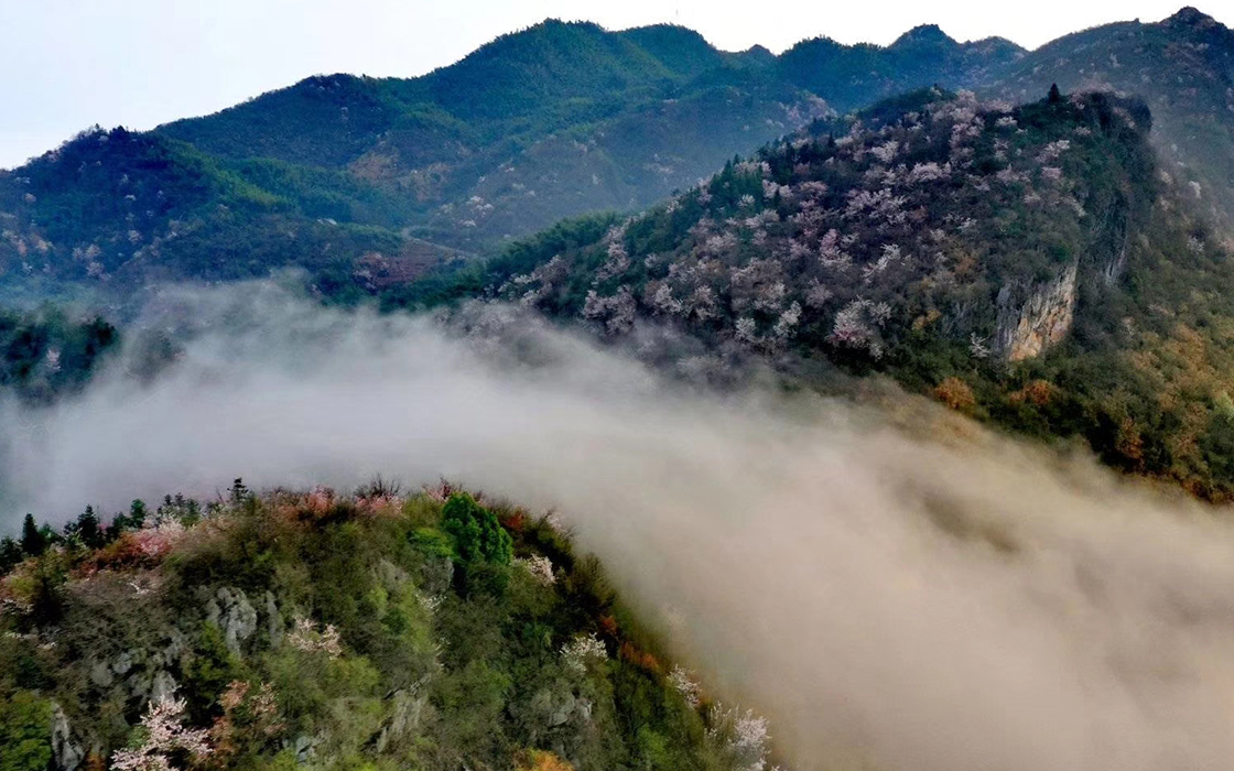 �����ϸ硤(�й�)���ֲ��ٷ���վ