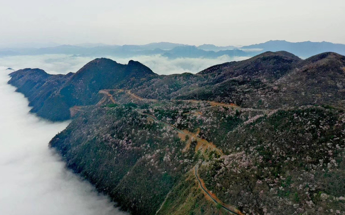 �����ϸ硤(�й�)���ֲ��ٷ���վ