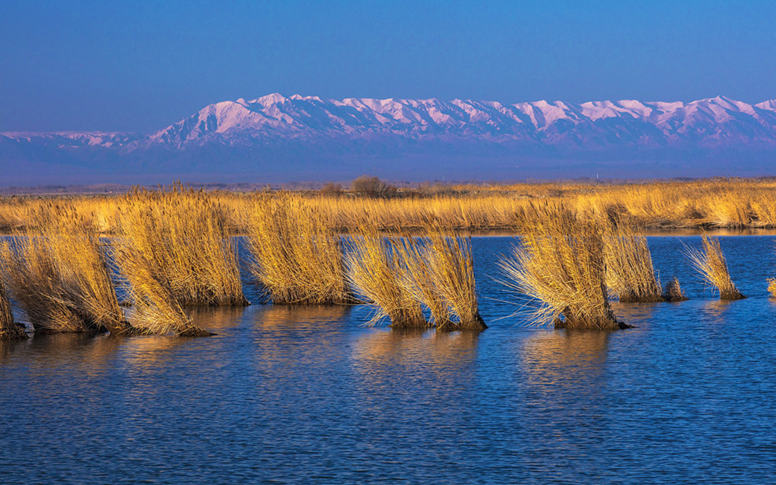 �����ϸ硤(�й�)���ֲ��ٷ���վ