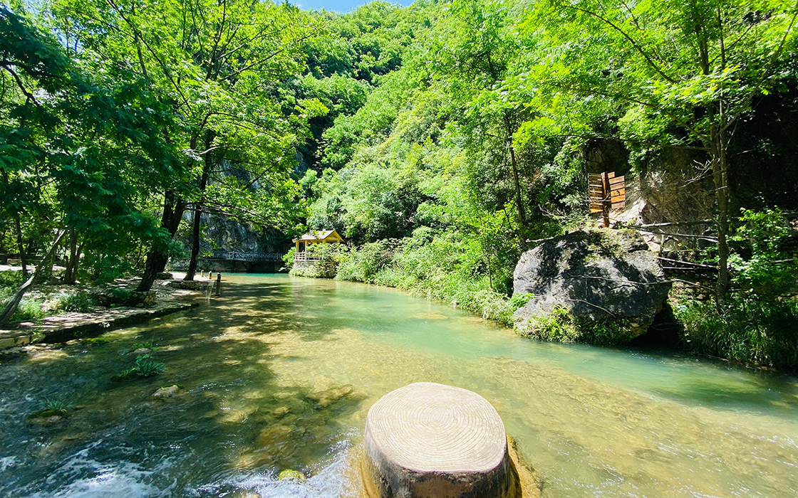 �����ϸ硤(�й�)���ֲ��ٷ���վ