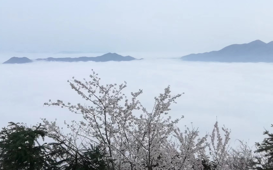 �����ϸ硤(�й�)���ֲ��ٷ���վ