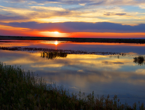 �½����Ⱥ�