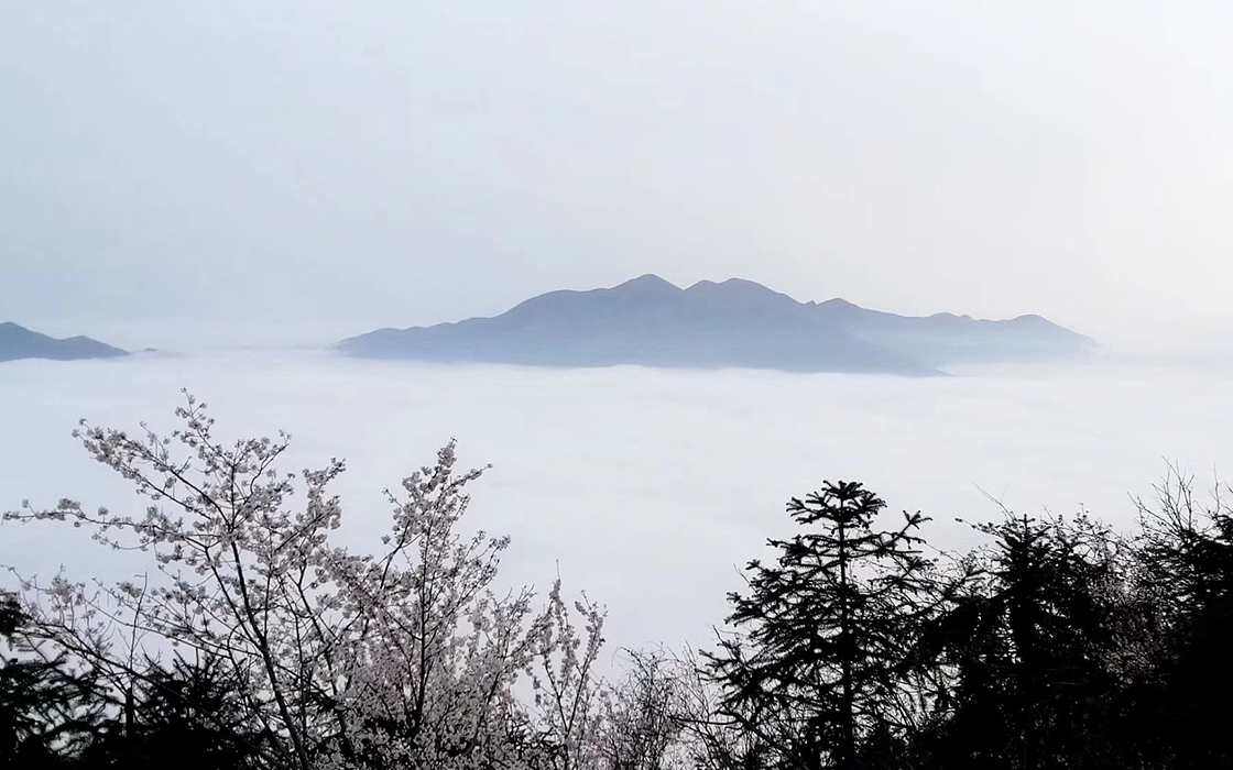 �����ϸ硤(�й�)���ֲ��ٷ���վ