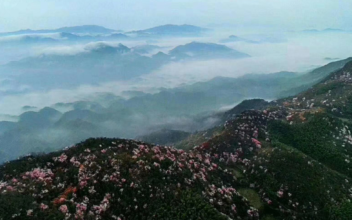 �����ϸ硤(�й�)���ֲ��ٷ���վ