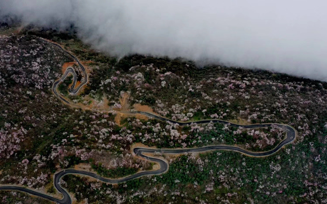 �����ϸ硤(�й�)���ֲ��ٷ���վ