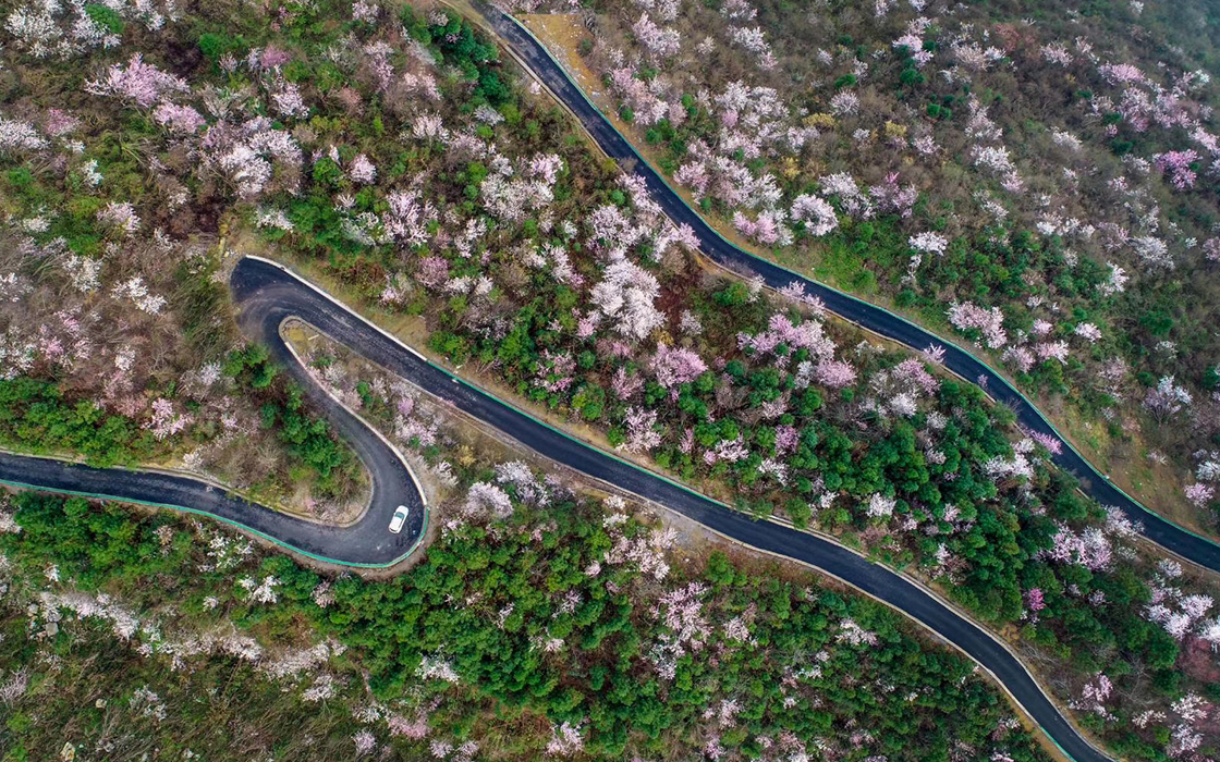 �����ϸ硤(�й�)���ֲ��ٷ���վ