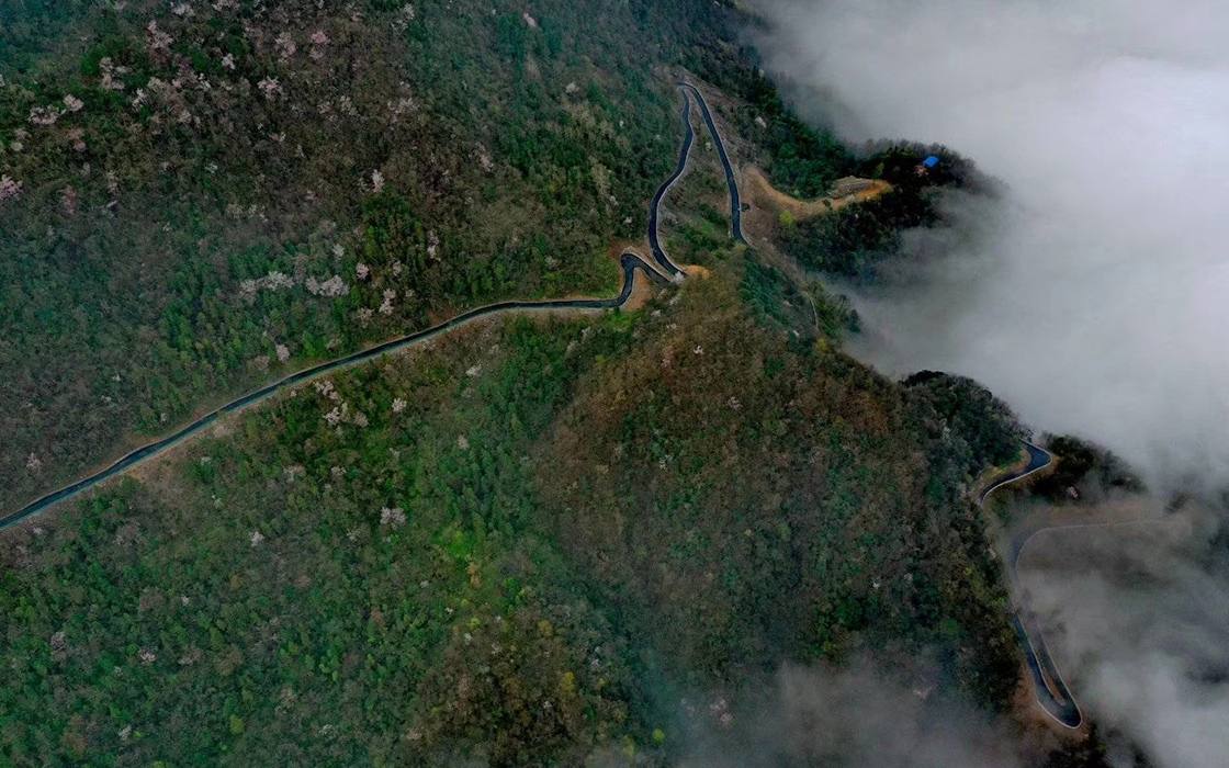 �����ϸ硤(�й�)���ֲ��ٷ���վ