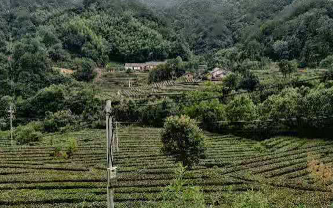 �����ϸ硤(�й�)���ֲ��ٷ���վ