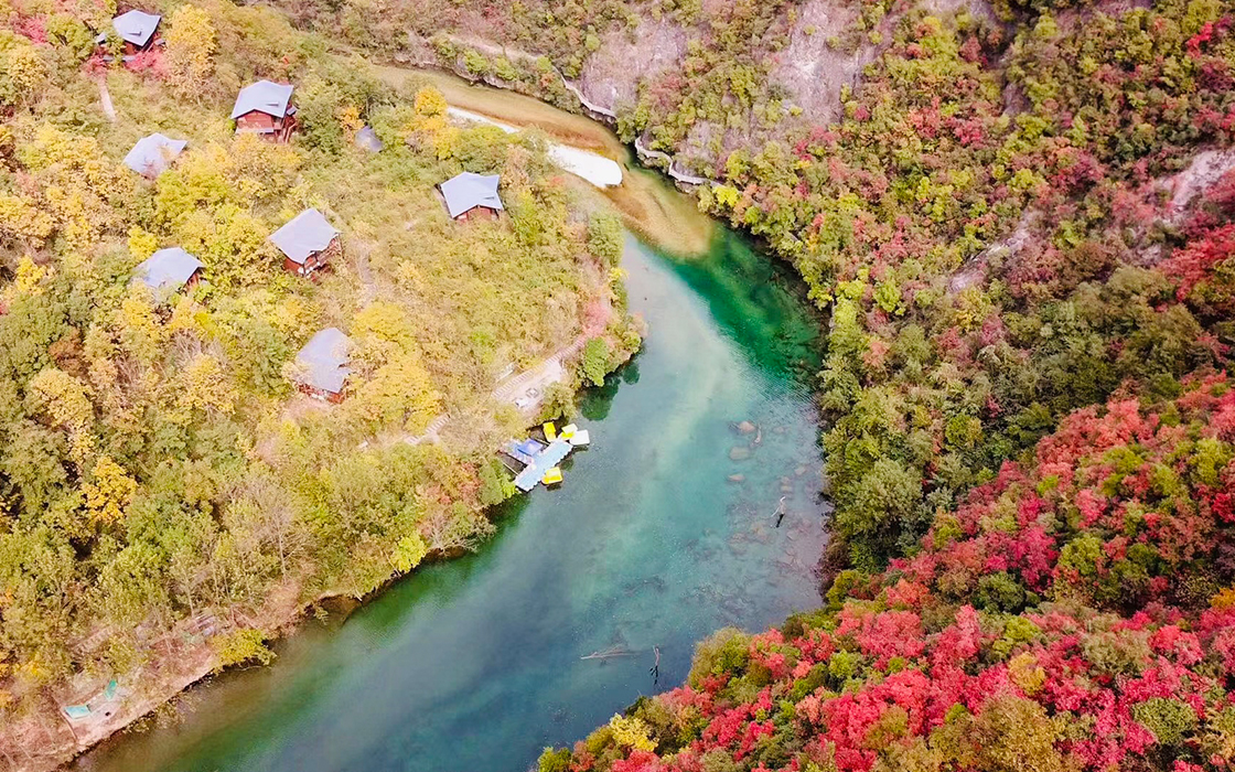 �����ϸ硤(�й�)���ֲ��ٷ���վ