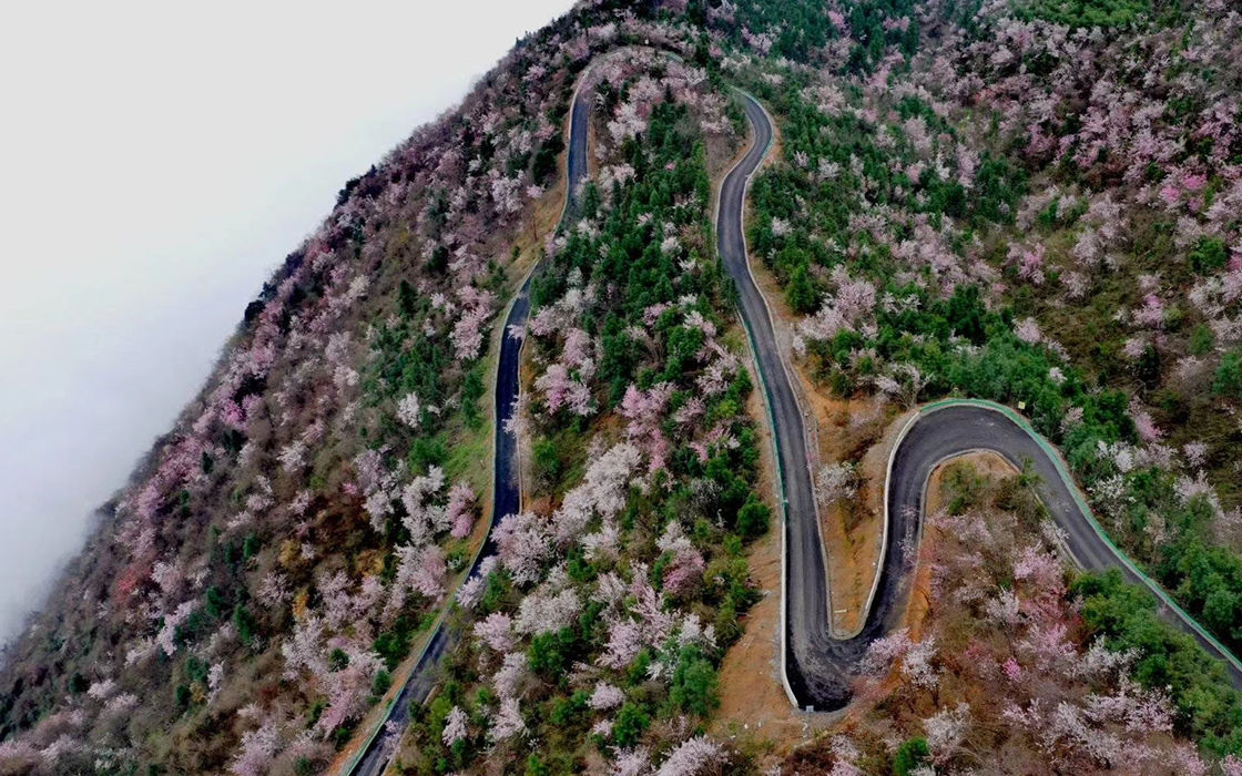 �����ϸ硤(�й�)���ֲ��ٷ���վ