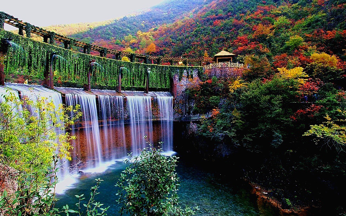 �����ϸ硤(�й�)���ֲ��ٷ���վ