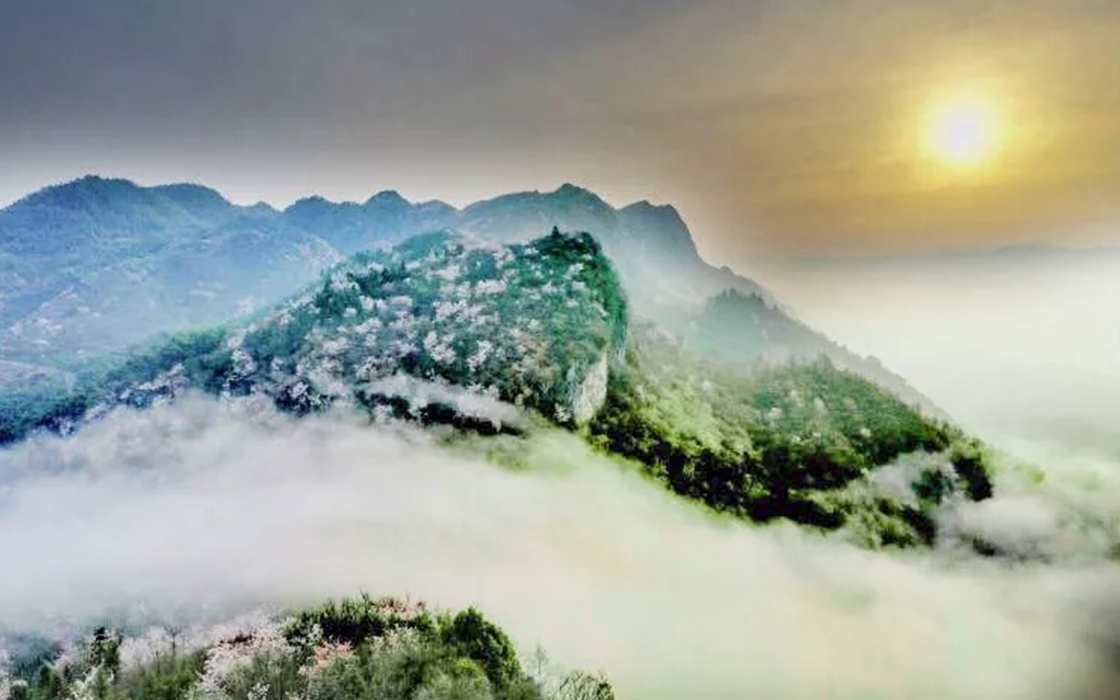 ���������ϸ���ֲ����ų������ο������޹�˾